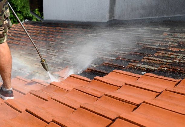 Best Affordable Power Washing  in West Concord, MA